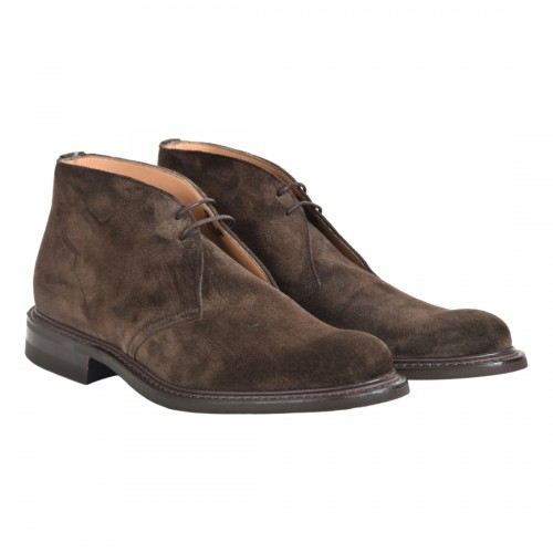 POLACCO SUEDE CHEANEY JESMONDII CHOCOLATE