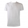 T-SHIRT BASICA COLLO COSTINA BELLWOOD 314J1501 01