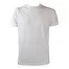 T-SHIRT BASICA COLLO COSTINA BELLWOOD 314J1501 01