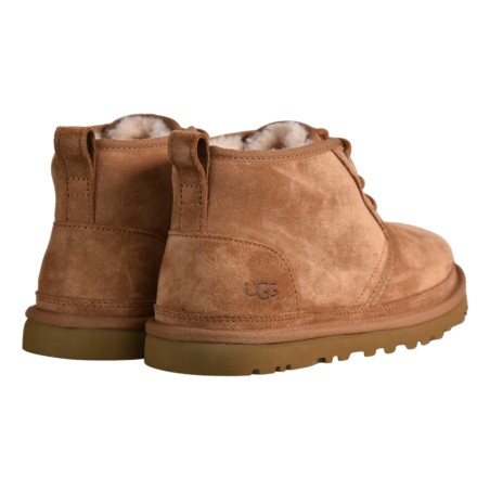 POLACCO NEUMEL UGG 3236 CHE
