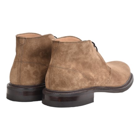 POLACCO SUEDE CHEANEY JESMONDII ROCK